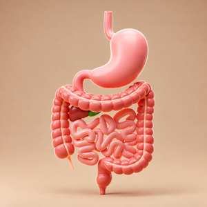 Digestion
