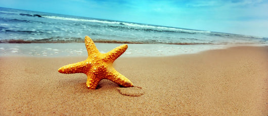 Strengthen Your Relationships This Summer. Here's How.