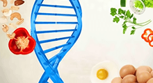 A Nutrigenomic Point of View: How Unhealthy Fats Promote Obesity
