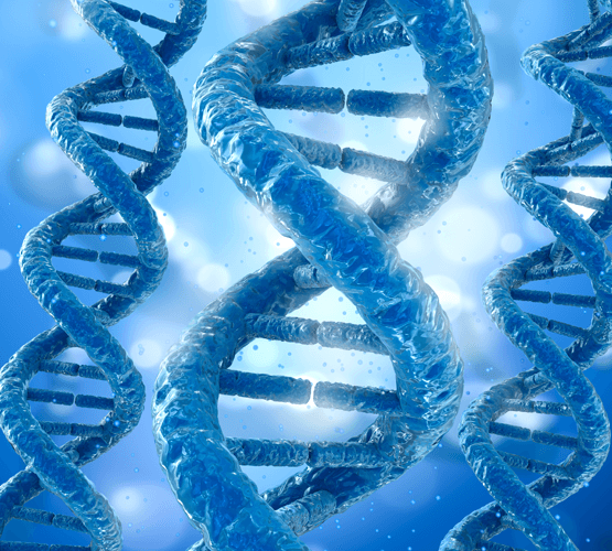 Telomeres and Mitochondria: Key to Healthy Aging & Extending Life