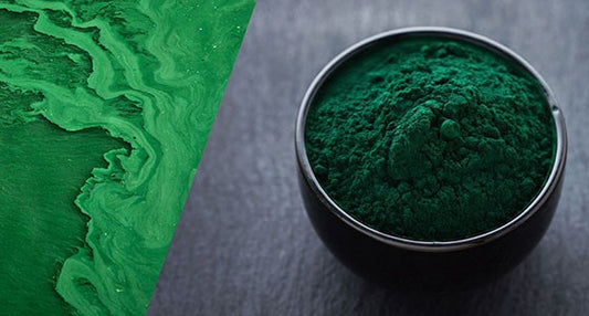 Four Reasons Chlorella is the Ultimate Superfood