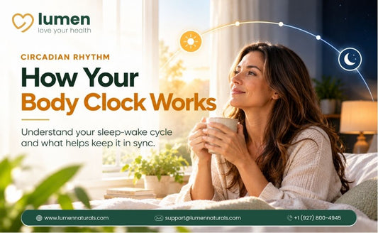 Lumen graphic explaining circadian rhythm and the sleep-wake cycle, with a woman drinking coffee by a sunny window.